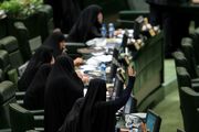 سنگ تمام مجلس نهم در تقویت بنیه دفاعی کشور