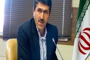 وجود بیش از 5 هزار کلنی زنبور عسل در دهگلان