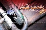  ۳ باب مغازه متخلف کشتار غیرمجاز دام در جوانرود پلمب شد 